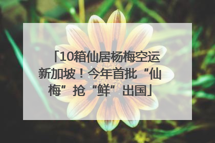10箱仙居杨梅空运新加坡！今年首批“仙梅”抢“鲜”出国