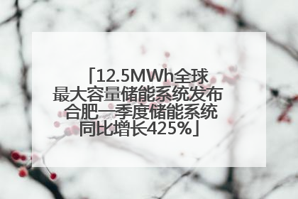 12.5MWh全球最大容量储能系统发布 合肥一季度储能系统同比增长425%