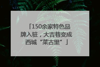 150余家特色品牌入驻，大吉巷变成西城“菜古里”