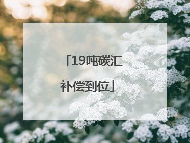 19吨碳汇补偿到位