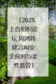 2025上合组织论坛 周鸿祎建言AI安全应对与柔性监管
