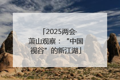 2025两会·萧山观察：“中国视谷”的新江湖