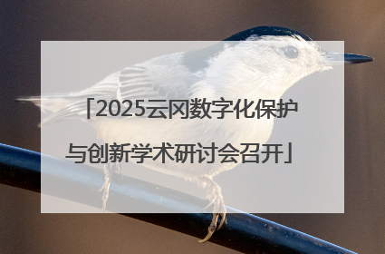 2025云冈数字化保护与创新学术研讨会召开
