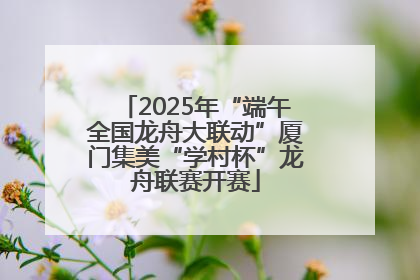 2025年“端午全国龙舟大联动”厦门集美“学村杯”龙舟联赛开赛