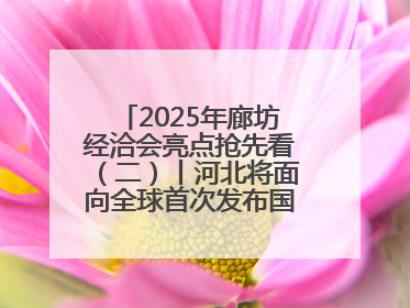 2025年廊坊经洽会亮点抢先看（二）丨河北将面向全球首次发布国际化招商地图