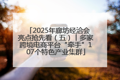 2025年廊坊经洽会亮点抢先看（五）丨多家跨境电商平台“牵手”107个特色产业集群