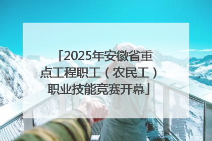 2025年安徽省重点工程职工（农民工）职业技能竞赛开幕