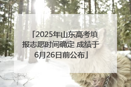 2025年山东高考填报志愿时间确定 成绩于6月26日前公布