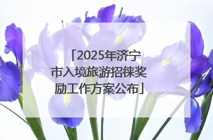 2025年济宁市入境旅游招徕奖励工作方案公布