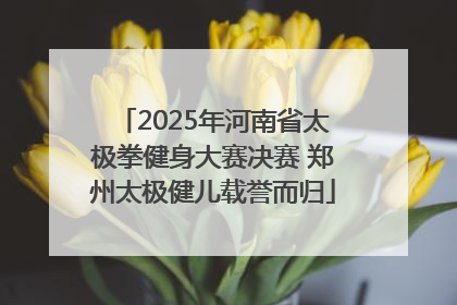2025年河南省太极拳健身大赛决赛 郑州太极健儿载誉而归