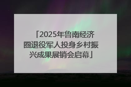 2025年鲁南经济圈退役军人投身乡村振兴成果展销会启幕