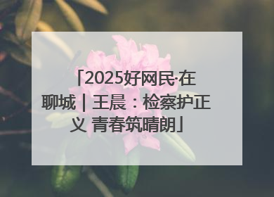 2025好网民·在聊城｜王晨：检察护正义 青春筑晴朗