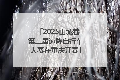2025山城巷第三届速降自行车大赛在重庆开赛