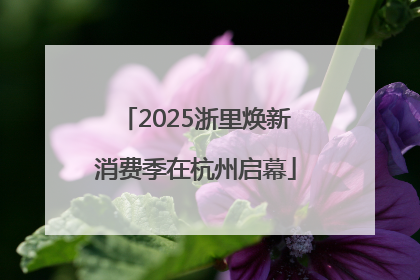 2025浙里焕新消费季在杭州启幕