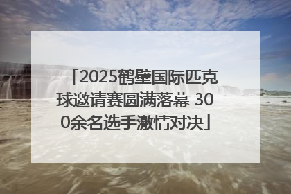 2025鹤壁国际匹克球邀请赛圆满落幕 300余名选手激情对决