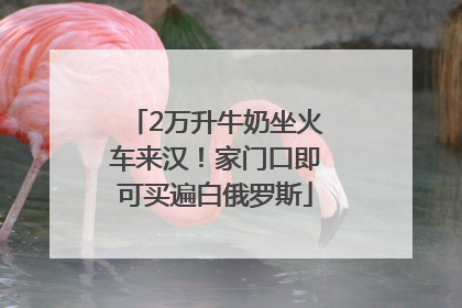 2万升牛奶坐火车来汉！家门口即可买遍白俄罗斯