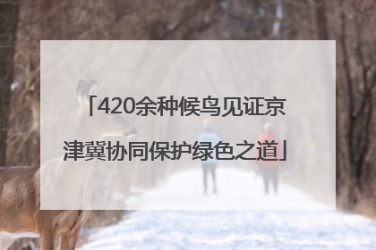 420余种候鸟见证京津冀协同保护绿色之道