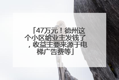 47万元！德州这个小区给业主发钱了，收益主要来源于电梯广告费等