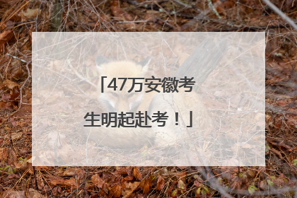 47万安徽考生明起赴考！