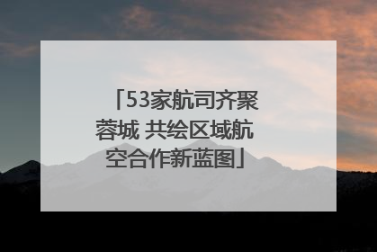 53家航司齐聚蓉城 共绘区域航空合作新蓝图
