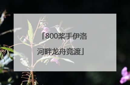 800桨手伊洛河畔龙舟竞渡