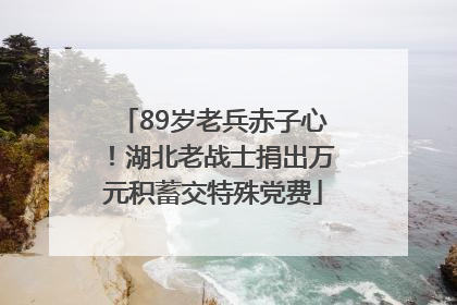 89岁老兵赤子心！湖北老战士捐出万元积蓄交特殊党费