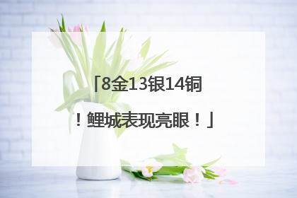 8金13银14铜！鲤城表现亮眼！