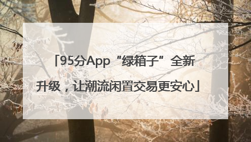 95分App“绿箱子”全新升级，让潮流闲置交易更安心