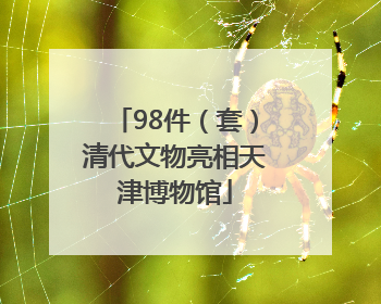 98件（套）清代文物亮相天津博物馆
