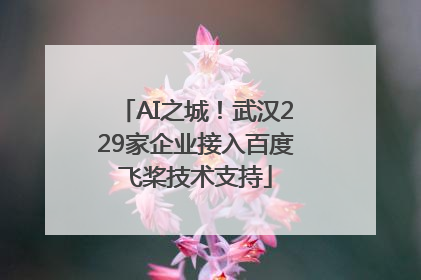 AI之城！武汉229家企业接入百度飞桨技术支持