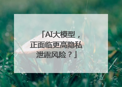 AI大模型，正面临更高隐私泄露风险？
