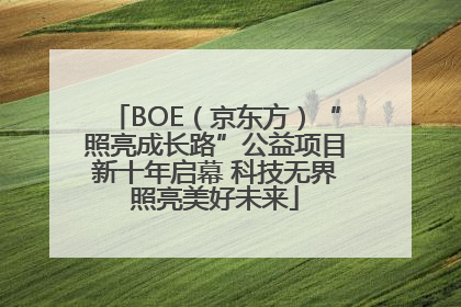 BOE（京东方）“照亮成长路”公益项目新十年启幕 科技无界照亮美好未来