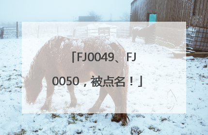 FJ0049、FJ0050，被点名！