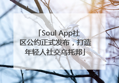 Soul App社区公约正式发布，打造年轻人社交乌托邦